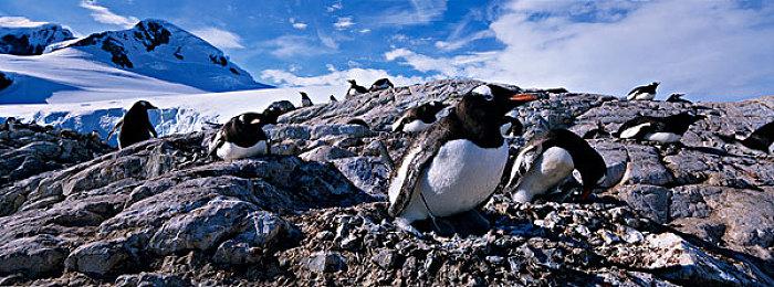 Fami通最新评分：世嘉派对音游和摩托赛车新作