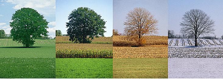 武术风回合制策略《Power Pushout》已在Steam发售