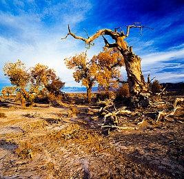 《死亡之夜》5月31日Steam正式推出 好评末日生存